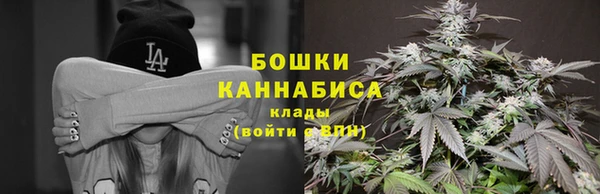 дурь Няндома