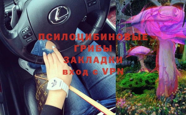 дмт Осташков