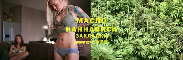 дурь Няндома